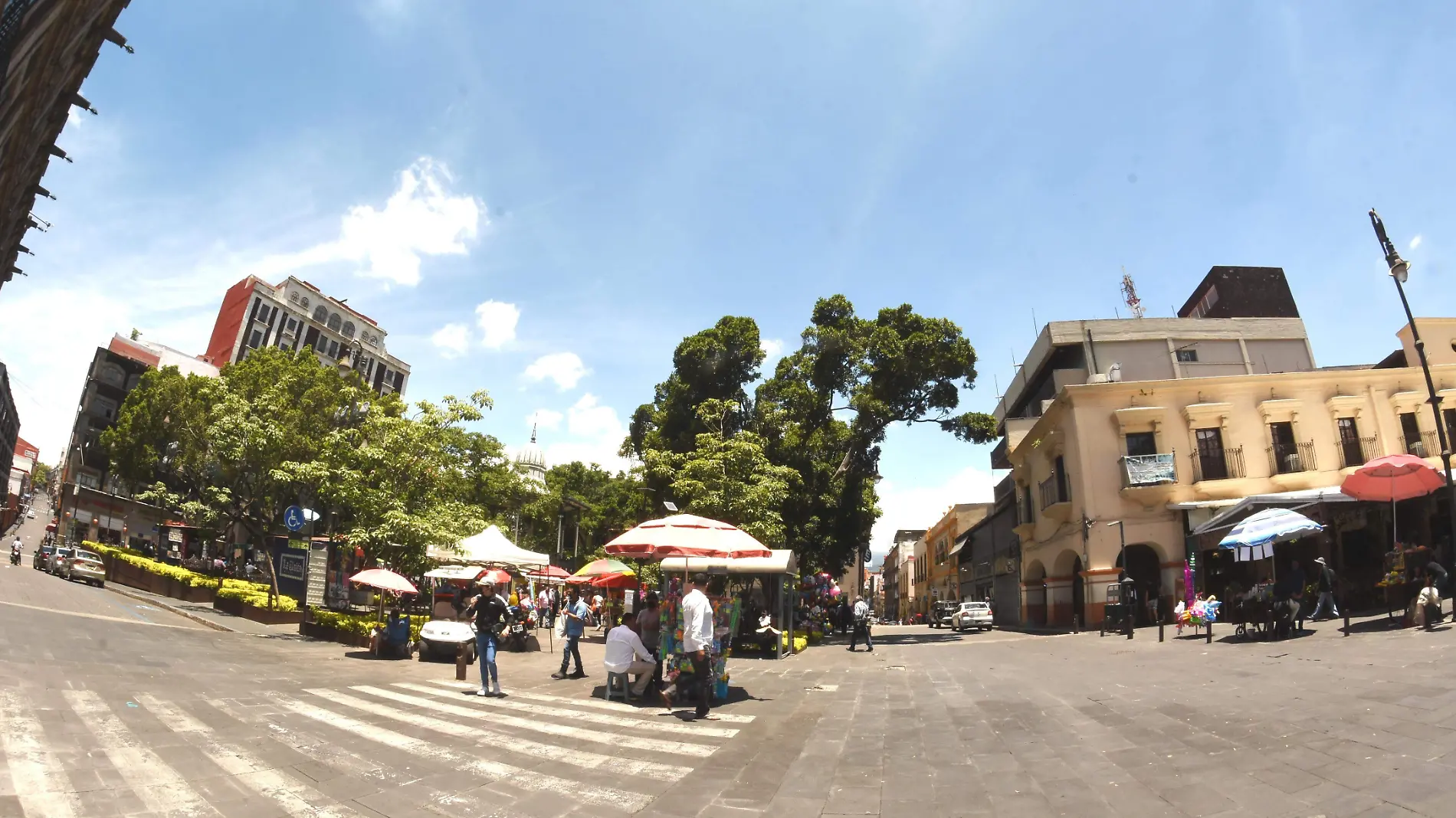 centro peatonal1